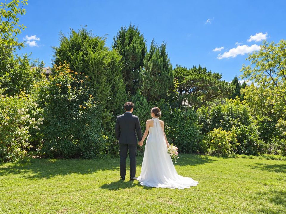 A bride and groom photographed from behind, holding hands on a lawn, facing trees and a blue sky